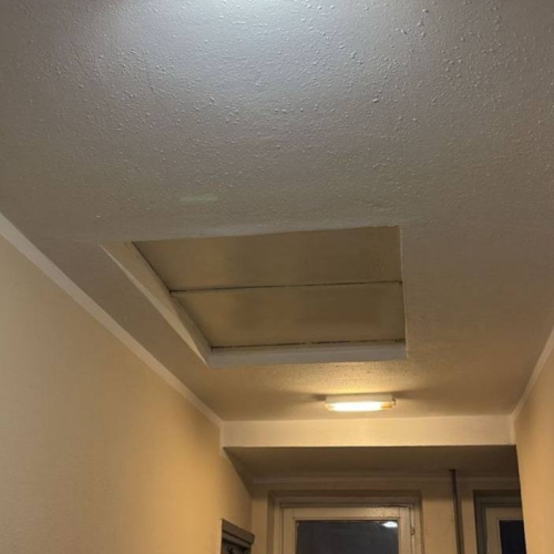 photo 2025-10-10 15.01.