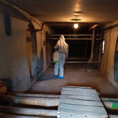 photo 2025-10-10 15.01.