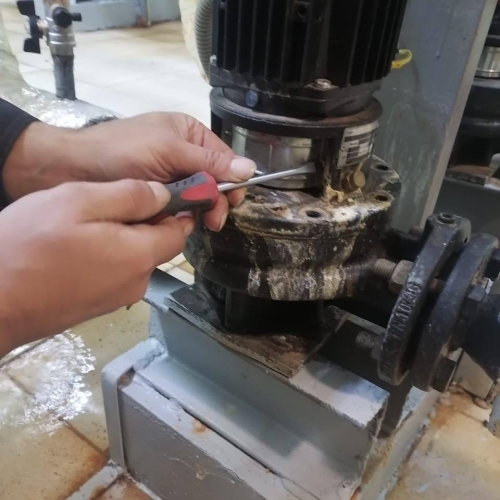 photo 2025-11-21 16.53.