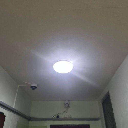 photo 2025-12-08 15.53.