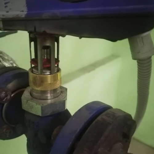 photo 2025-12-19 16.16.