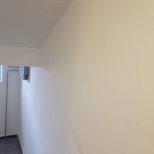 photo 2025-12-19 16.30.