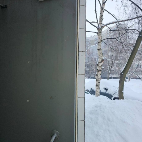 photo 2026-01-19 10.00.