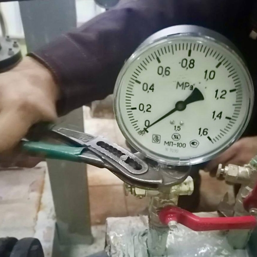 photo 2026-02-19 18.09.