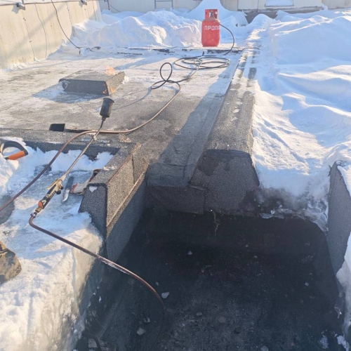 photo 2026-02-19 18.09.