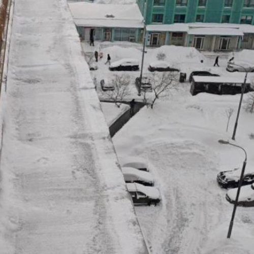 photo 2026-02-24 15.25.