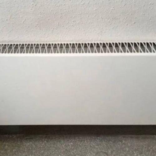 photo 2026-03-06 14.29.