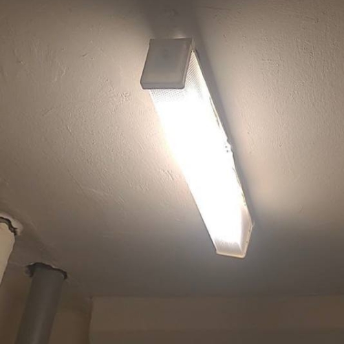 photo 2026-03-06 14.33.