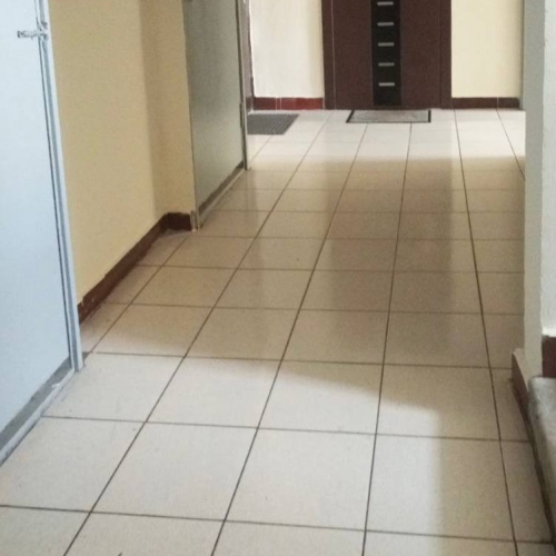 photo 2026-03-06 14.33.