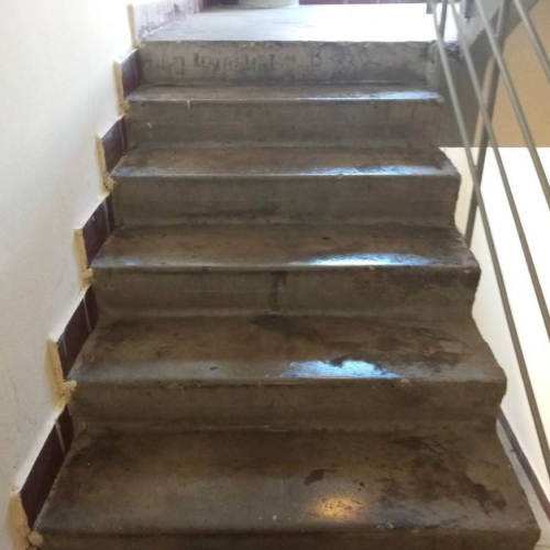 photo 2026-03-06 14.33.