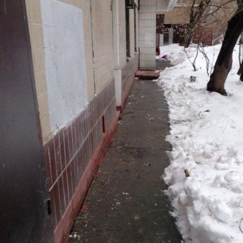 photo 2026-03-10 14.43.