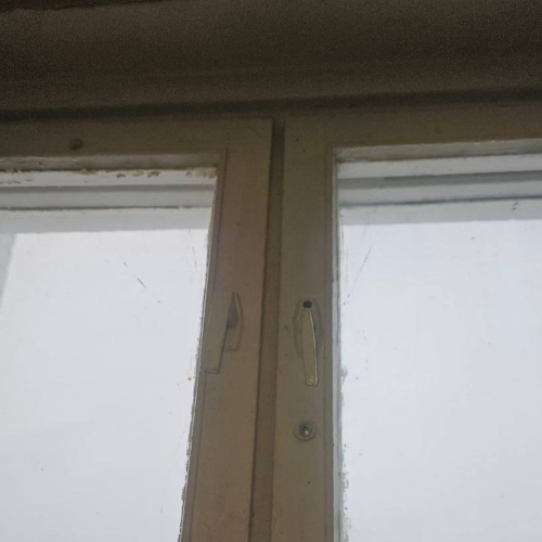 photo 2026-03-10 14.43.