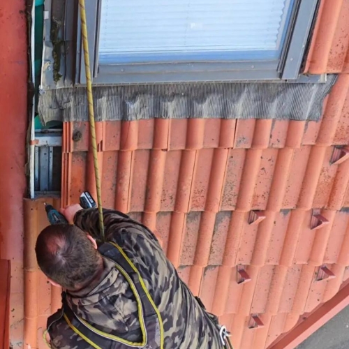 photo 2026-03-20 15.14.