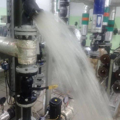 photo 2026-03-20 15.14.