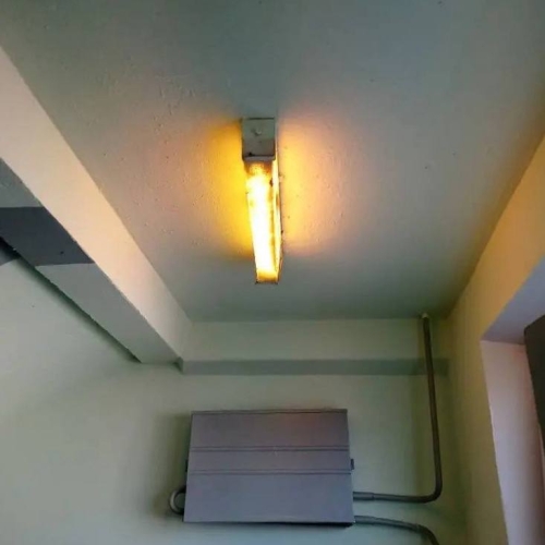 photo 2026-03-27 14.52.