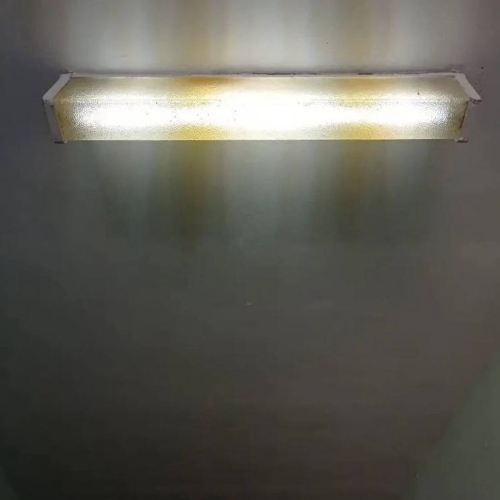 photo 2026-03-27 14.52.